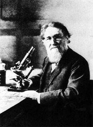 1883 Cunhou o termo fagocitose Postulou para o macrófago um papel central na