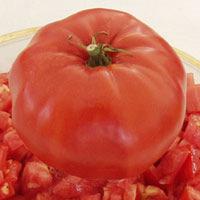 Caso I localidade Tomate Protocolo de amostragem (estratificada) considerar o campo dividido em 12 partes e recolher em cada uma 1 kg de tomate no estado maduro firme (salada), com a precaução de