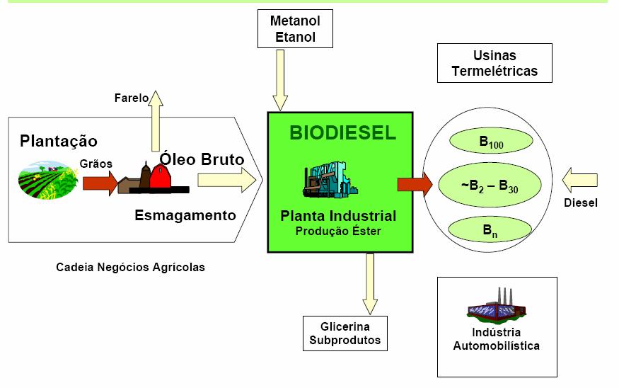 Tópicos da Apresentação O Impacto do Biodiesel nos Custos dos Combustíveis