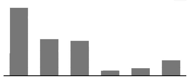 Caldeira AP et al. Figura 1 Distribuição dos principais grupos de Internações por Condições Sensíveis à Atenção Primária, segundo faixa etária. Minas Gerais, 1999-2007.