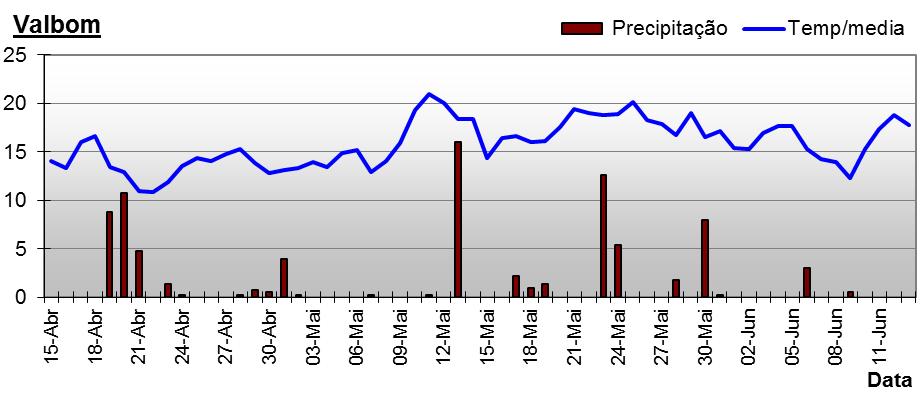 Verificamos novas condições de infecções de míldio nos dias 5 e 6 de Junho, verificando-se saída de manchas afectar os cachos em bago de chumbo, provocando prejuízos económicos.