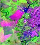 Moreira, M.L.O.;Medeiros, L.C.;Costa,H.F. / Rev. Geogr. Acadêmica v.1 n.1 (xii.2007) 28-36 MDT (grid) é possível ser gerada uma imagem multiespectral conjugada com a topografia.
