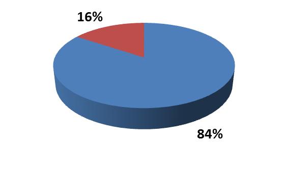 : Dados extraídos das 125 fichas de