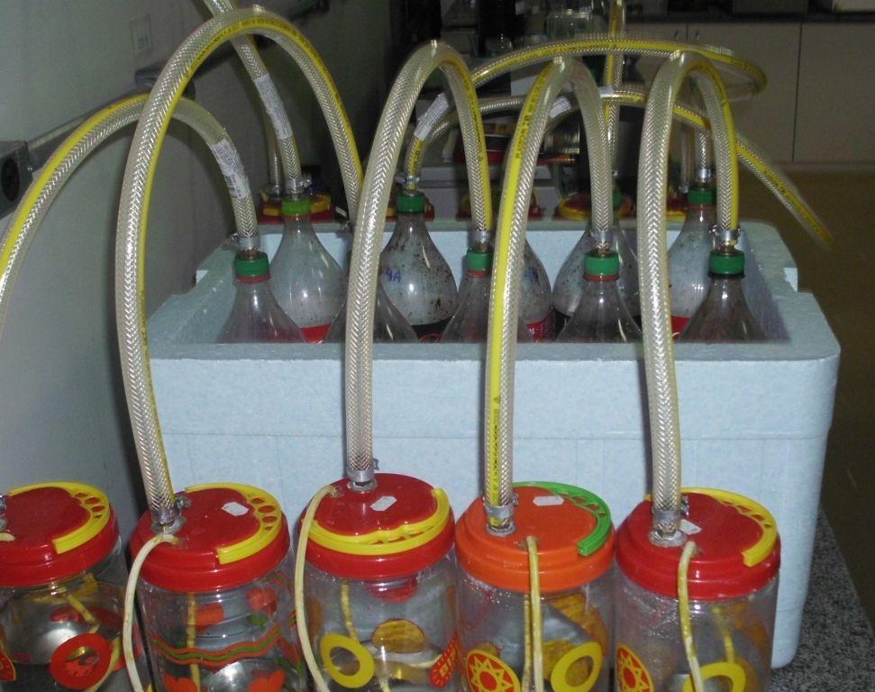 Os ensaios (Figura 1) foram realizados em reatores anaeróbios confeccionados em garrafas PET com capacidade de 2000 ml.