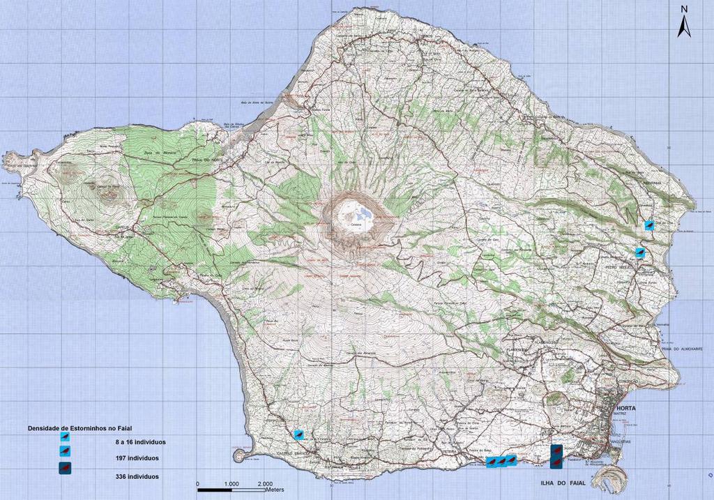 3.3 Faial No Faial, à semelhança do ano anterior, os resultados obtidos foram muito baixos e os maiores aglomerados de estorninhos não estavam sequer a utilizar a rede eléctrica como pouso ou local