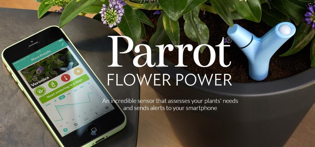 Conectando Tudo Parrot Flower Power