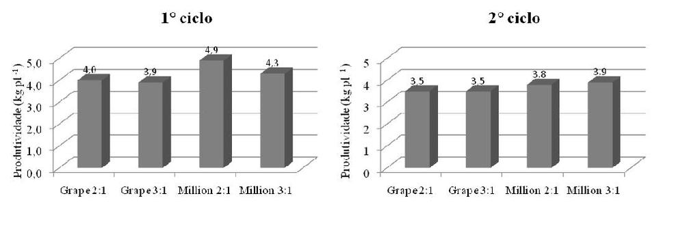 Figura 1 - Produtividade média geral por planta (kg planta -1 ) ao longo do 1 e do 2 ciclo do tomateiro cereja, para os tratamentos cultivar e solução nutritiva: Grape 2:1, Grape 3:1, Million 2:1 e