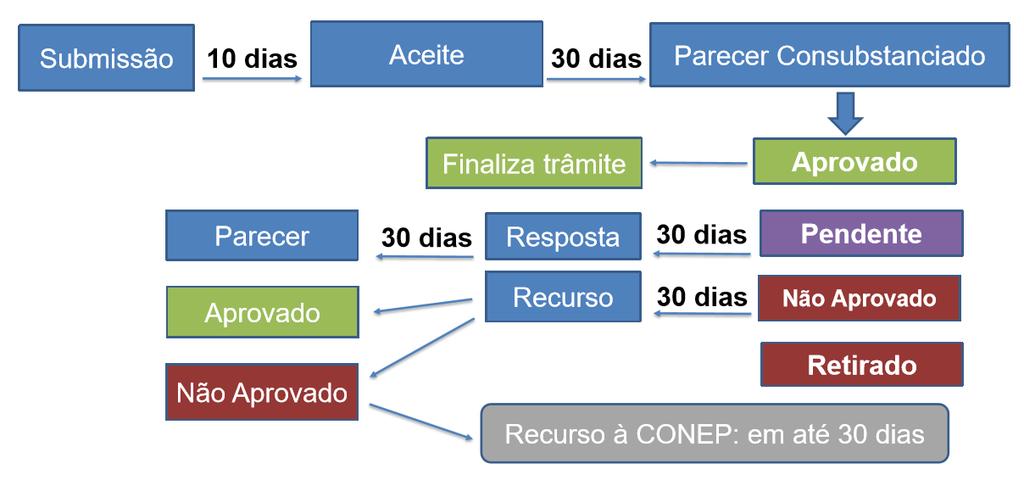 Prazos do