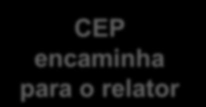 Encerramento da Pesquisa O pesquisador quando encerra a pesquisa precisa comunicar ao CEP