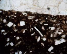 16 Aspecto geral da lâmina, evidenciando o contato entre a rocha encaixante granulítica (porção superior) o corpo máfico (porção inferior) destacando a predominância dos microfenocristais.