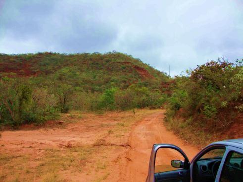 de sedimentos presente Foto 5: Estrada que corta a Serra do Jatobá