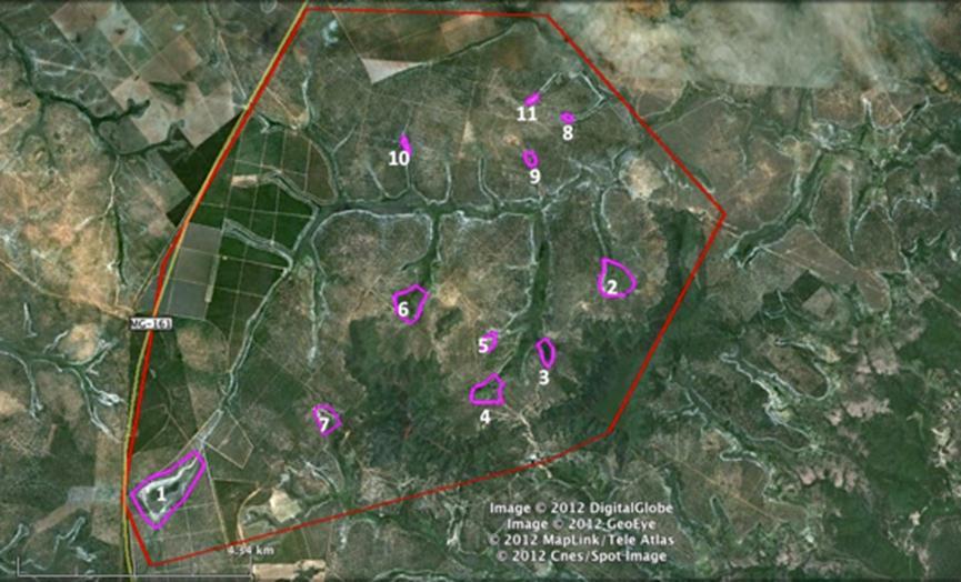 Contrato de Gestão nº 014/2010 - Ato Convocatório nº 009/2012 (ANEXO I) LOTE 01 41 Imagem de Satélite 24: Áreas de Proteção de Nascentes - PN Tabela 6: Extensão das Cercas e Localização das Nascentes