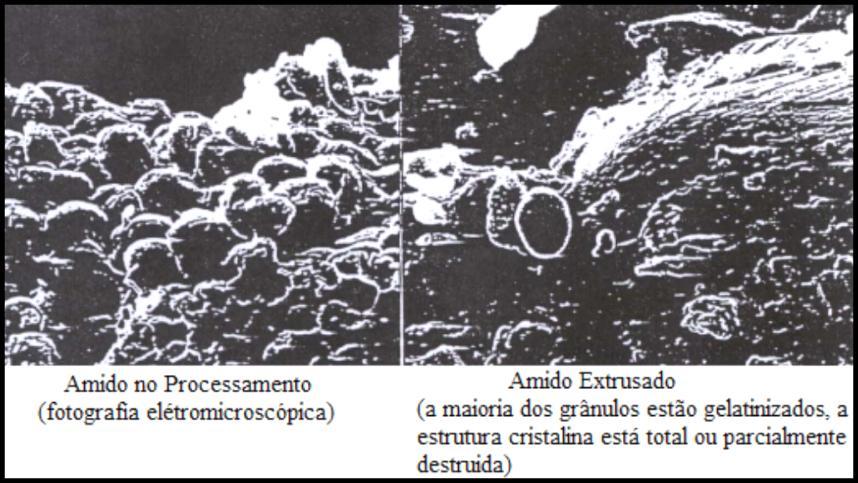 FIGURA 1 - Variação do amido antes e depois da extrusora. Fonte: Adaptado de Valls (1998).