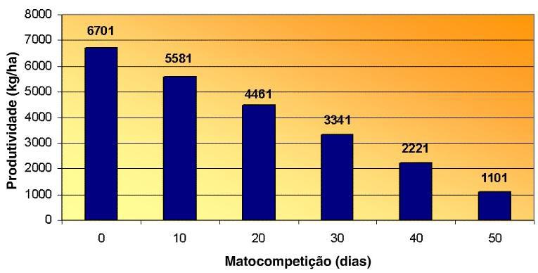 A IMPORTÂNCIA DO PRÉ-EMERGENTE Rendimento de arroz em função da época de controle de Echinochloa (var.