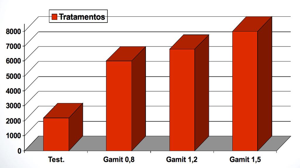 Rendimento de grãos da cultivar Tuno CL,