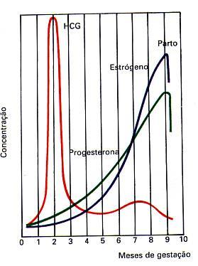 se mantém?