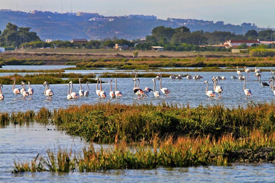 CAPITAL NATURAL REOT LVT 2017 CAPITAL NATURAL Áreas Classificadas Proteção da Biodiversidade e Paisagem Estrutura Ecológica Regional Reserva Ecológica