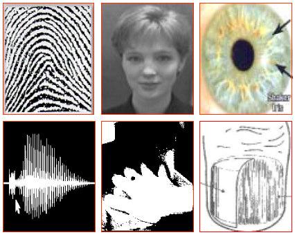 2 Figura 1 - Tecnologias biométricas - impressão digital, face, íris, voz, geometria da mão, formato da unha.