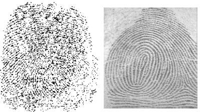 4 aquisição da imagem através de um leitor biométrico, que transforma os aspectos físicos extraídos em um template, ou seja, em um conjunto de características (COSTA, 2001) (Figura 3(b)).