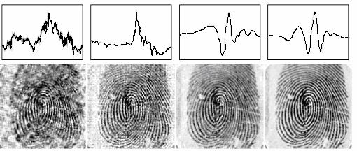 30 Generation 1 Generation 10 Generation 20 Generation 50 Figura 23 - linha superior: Wavelet ganhadora - linha inferior: evolução mostrando as gerações 1, 10, 20 e 50.