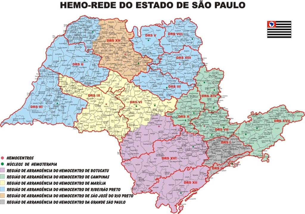 .2 - Mapa da Organização