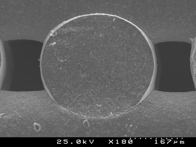 Figura 41 - Micrografias obtidas por SEM dos scaffolds com tamanhos de poro de 200 µm derivados de