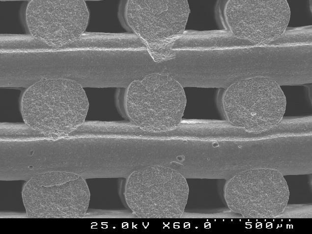 Capítulo 4 Resultados e Discussão As micrografias dos scaffolds