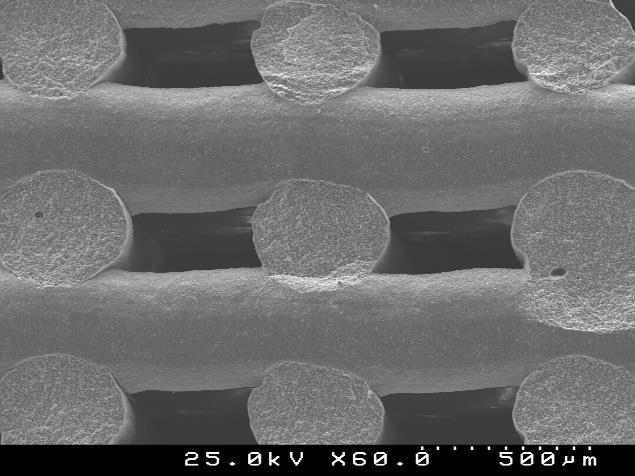 Capítulo 4 Resultados e Discussão Figura 43 - Micrografias obtidas por SEM dos scaffolds com tamanhos de poro de