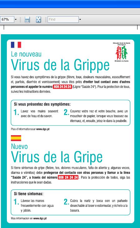Informação 5. Nova estirpe do vírus da Gripe Informação 5.