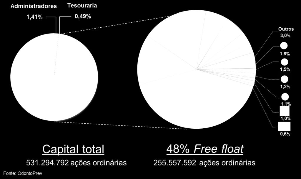 Estrutura acionária globalizada: