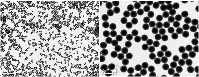 Síntese de Partículas Poliméricas Submicrométricas 79 Figura 3.32: Micrografias obtidas por MET da reação em emulsão ES Dp 3.