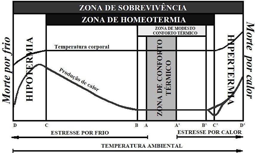 Os animais tem a capacidade de adaptar ao ambiente térmico por acondicionamento térmico, mas é importante saber a faixa de temperatura em que há menor gasto energético para manter sua homeotermia.