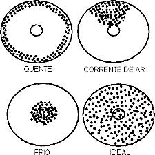 Figura 4 Sistema termorregulador das aves. Fonte: ABREU (2003).