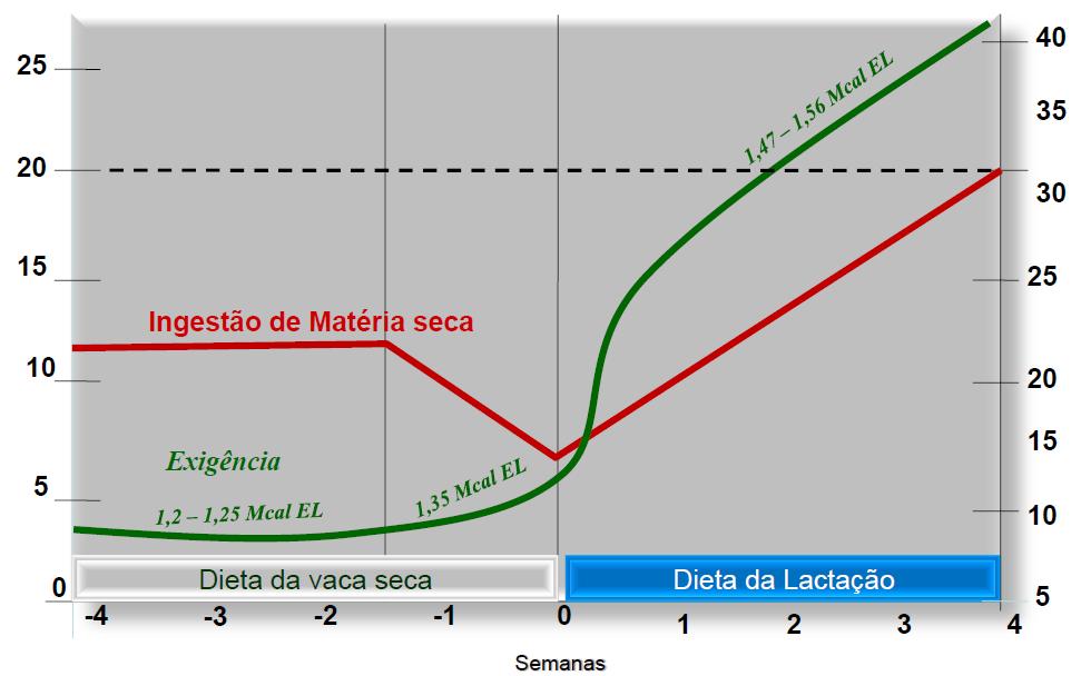 Introdução Pré-parto Período de Transição Pós-parto Período