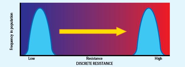 Resistência de fungos a benzimidazóis Resistência por redução de afinidade, monogênica Neurospora Saccharomyces