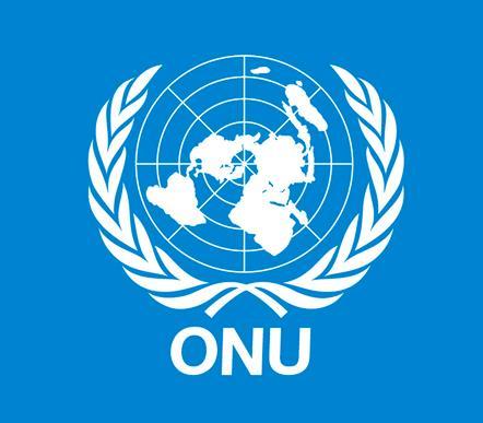 A Organização das Nações Unidas apresenta a seguinte estrutura organizacional: entidade que conta com a participação dos países signatários das diretrizes diplomáticas da ONU.