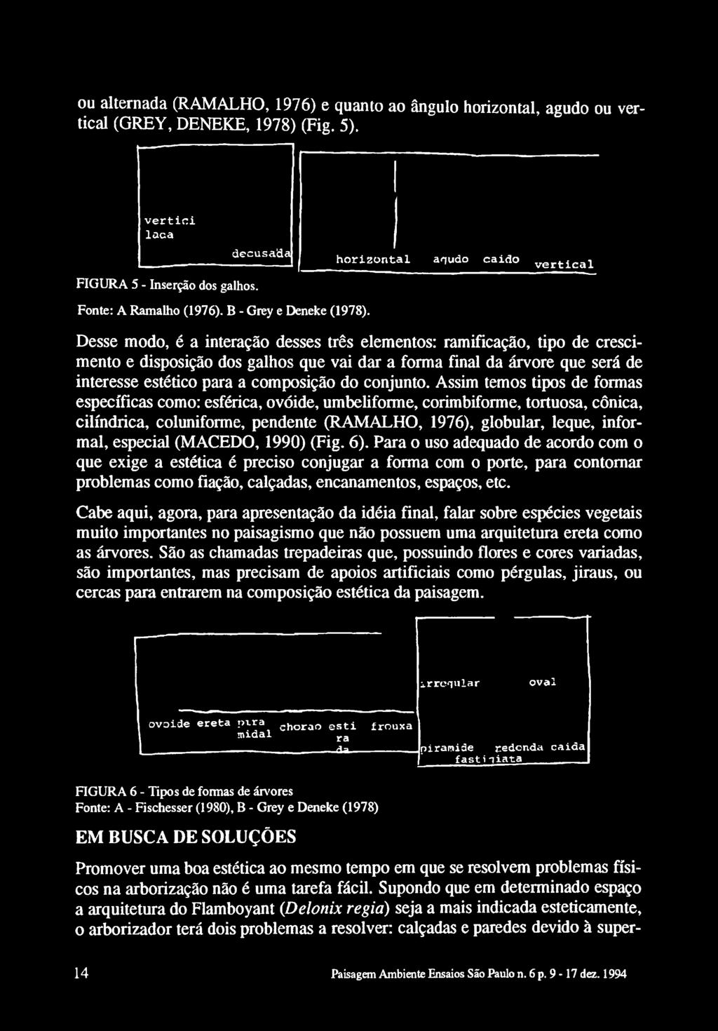 Desse modo, é a interação desses três elementos: ramificação, tipo de crescimento e disposição dos galhos que vai dar a forma final da árvore que será de interesse estético para a composição do