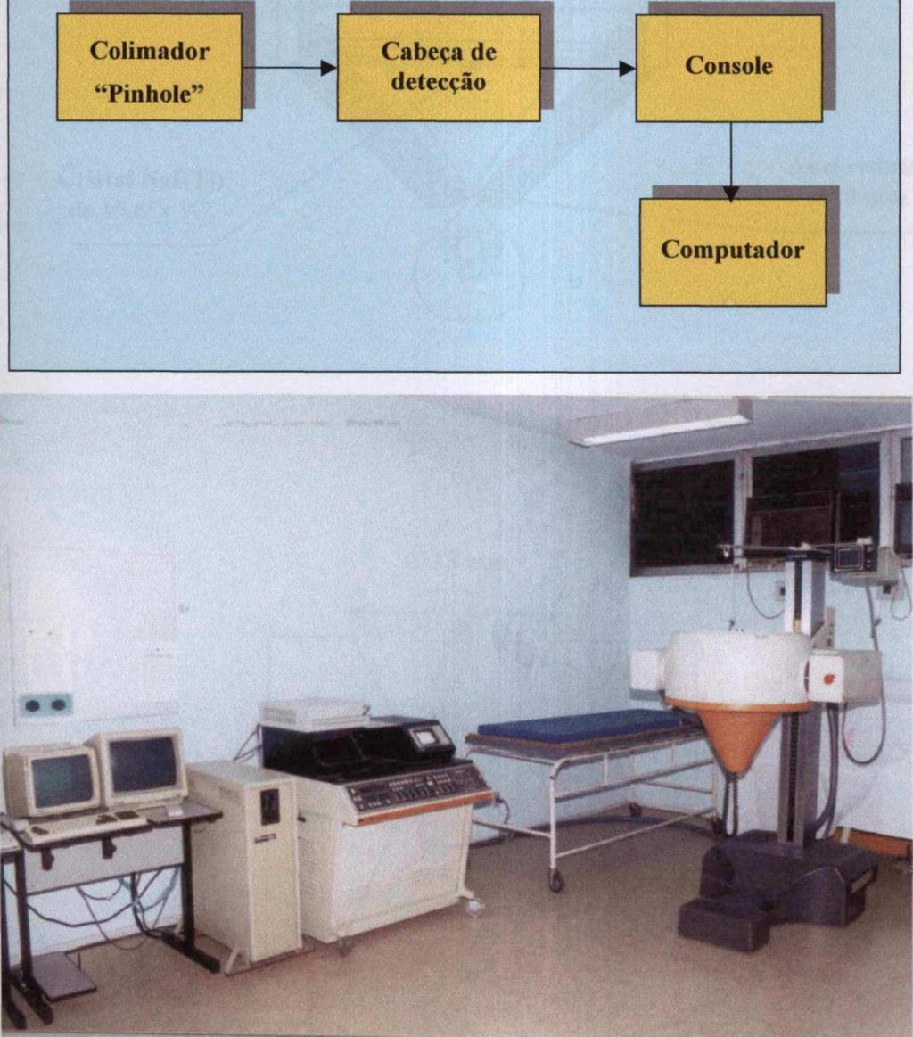 simplificado e