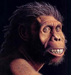 Homo Sapiens Sapiens Há cerca de 40 mil anos a. C.