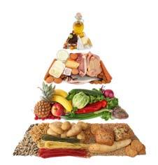 Matéria-prima Alimentar (Qualidade/Quantidade) Alimentos