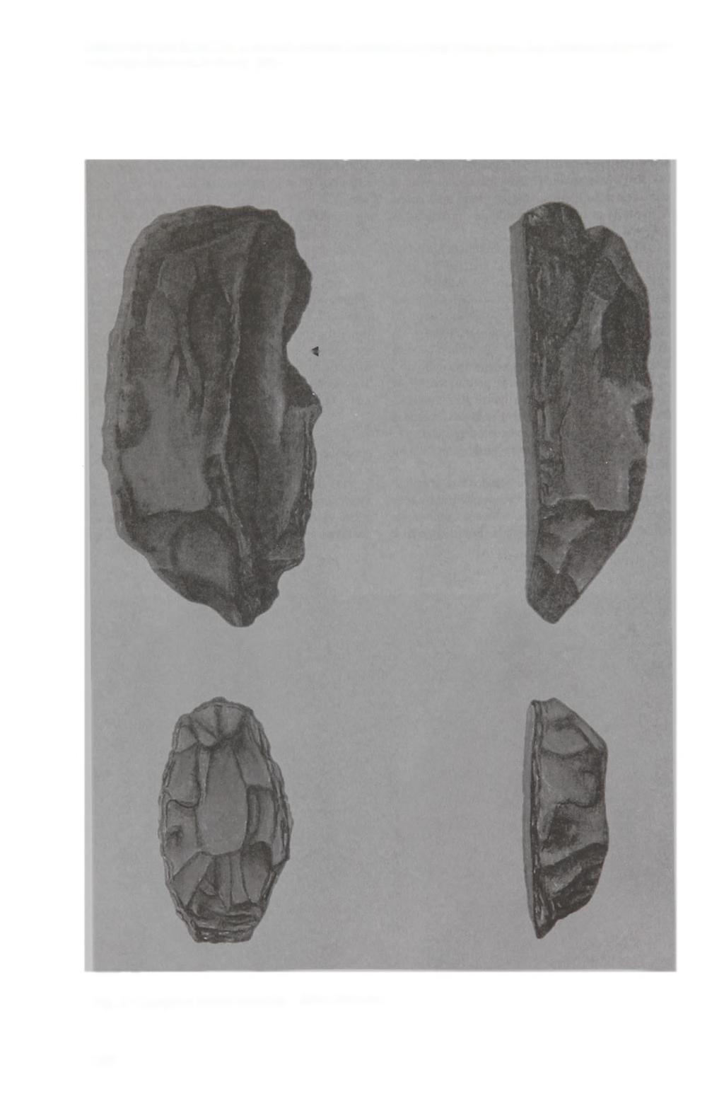 Fig. 5 - Artefatos líticos