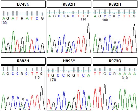 78 Fig 4: Sequencing in which mutations in gene