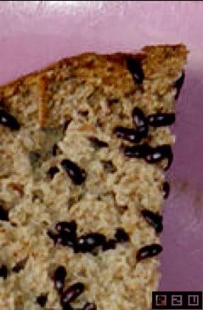 Amendoim Os besouros costumam ficar na fatia de pão integral Fatias de pão integral rência pães mais úmidos. Coloque fatias de pão cobrindo metade da superfície do substrato.