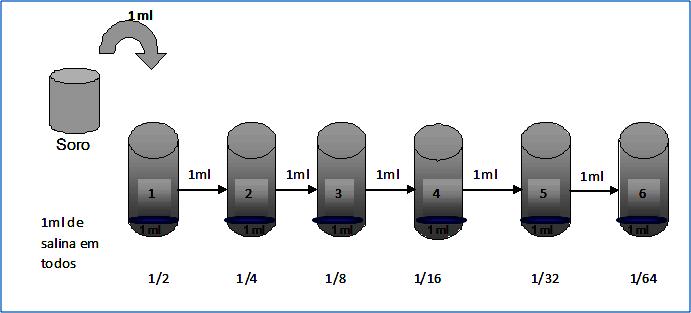 Exemplo 1. Diluições sucessivas com razão constante igual a 2:- 1) Distribuir numa série de tubos com 1 ml de diluente. 2) Ao tubo 1 adicionar 1 ml do material.
