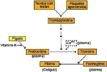 Esquema de Componentes Ppais.