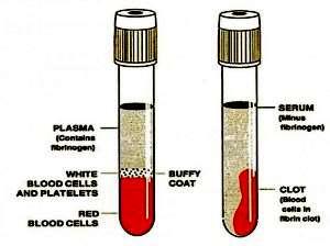 PLASMA é o sobrenadante obtido após a centrifugação do sangue total, colhido em tubo com anticoagulante.