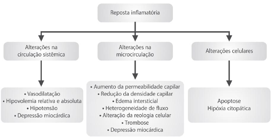 O diagnóstico e tratamento da sepse baseiam-se em um protocolo gerenciado que contém oito intervenções diagnósticas e terapêuticas que norteiam a melhoria da assistência.