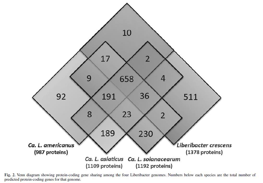 Wulff et al. MPMI Vol. 27, No. 2, 2014, pp.