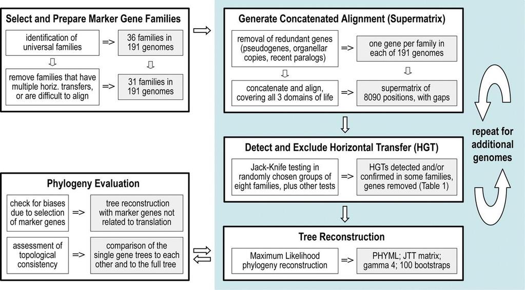 Fig. 1. Overview of the procedure.