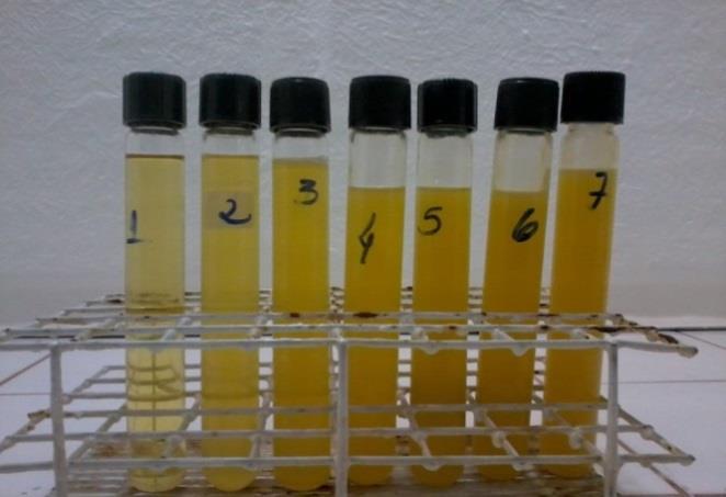 322 para as que apresentassem estado liquido, apenas. Isso ocorreu com as blendas com menos de 29% de sebo, conforme representado na tabela 4 e figura 3. Tabela 4.